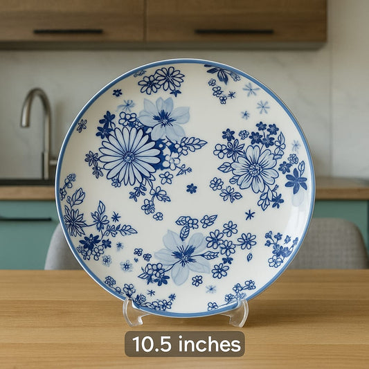 10.5' 6pcs ceramic dinner plates