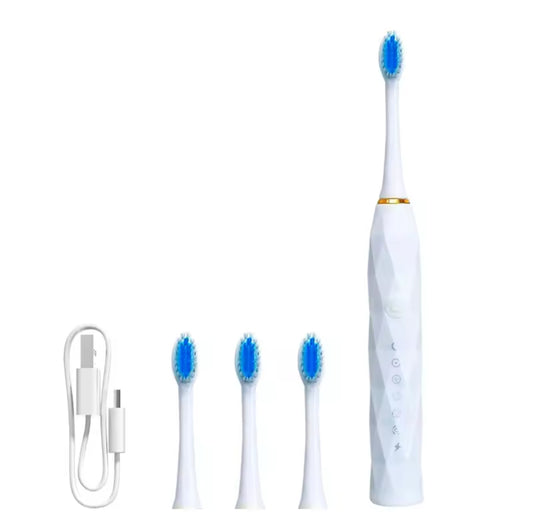 Electric rechargeable toothbrush with replacement heads