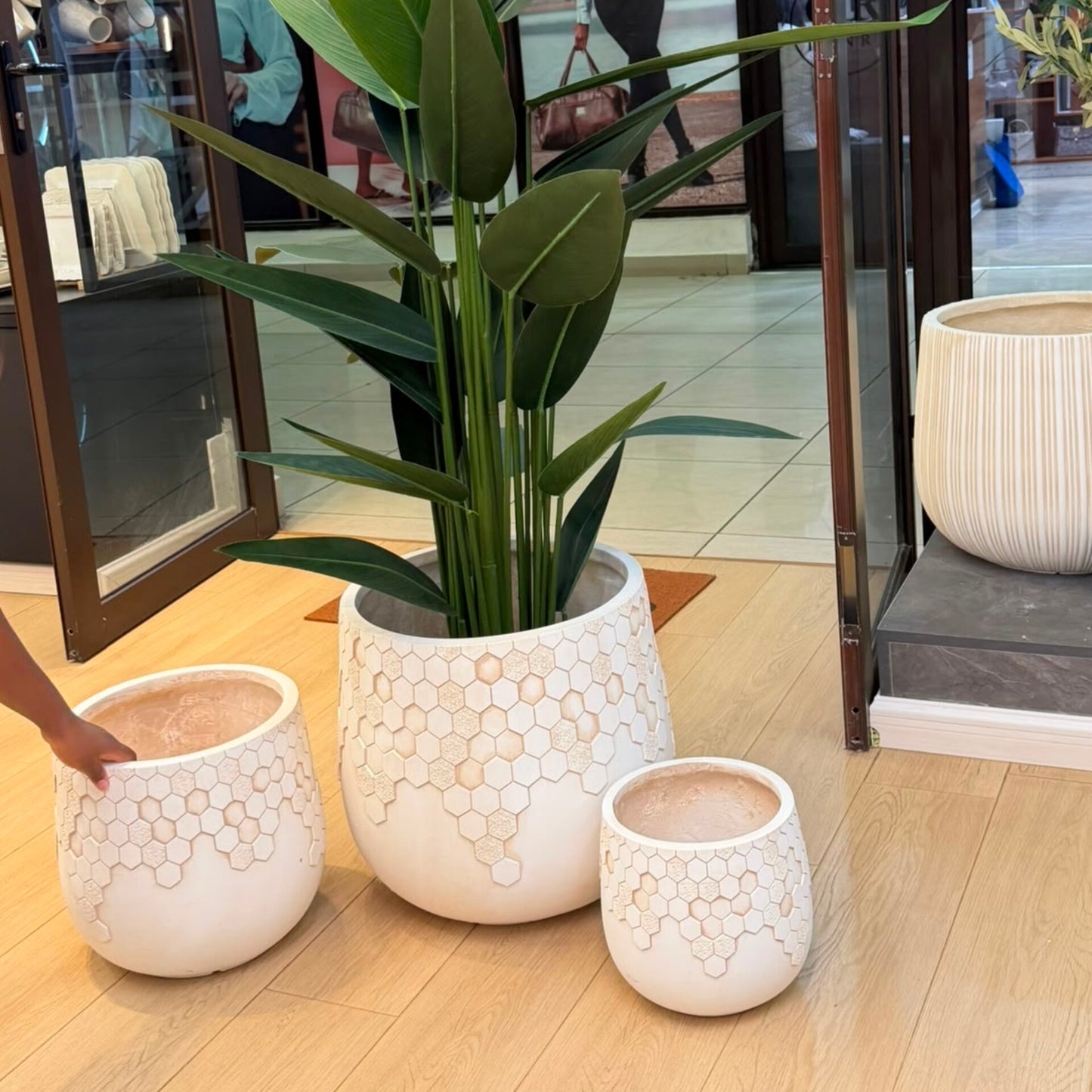 Concrete Planter