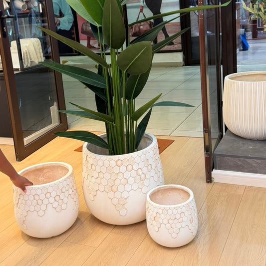Concrete Planter Plant Pots