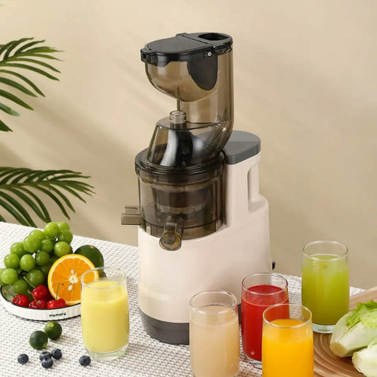 Slow juicer