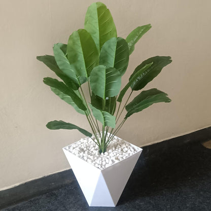 Plant and Pot