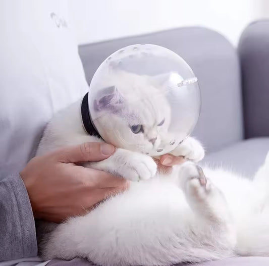 Pet Muzzle Mask