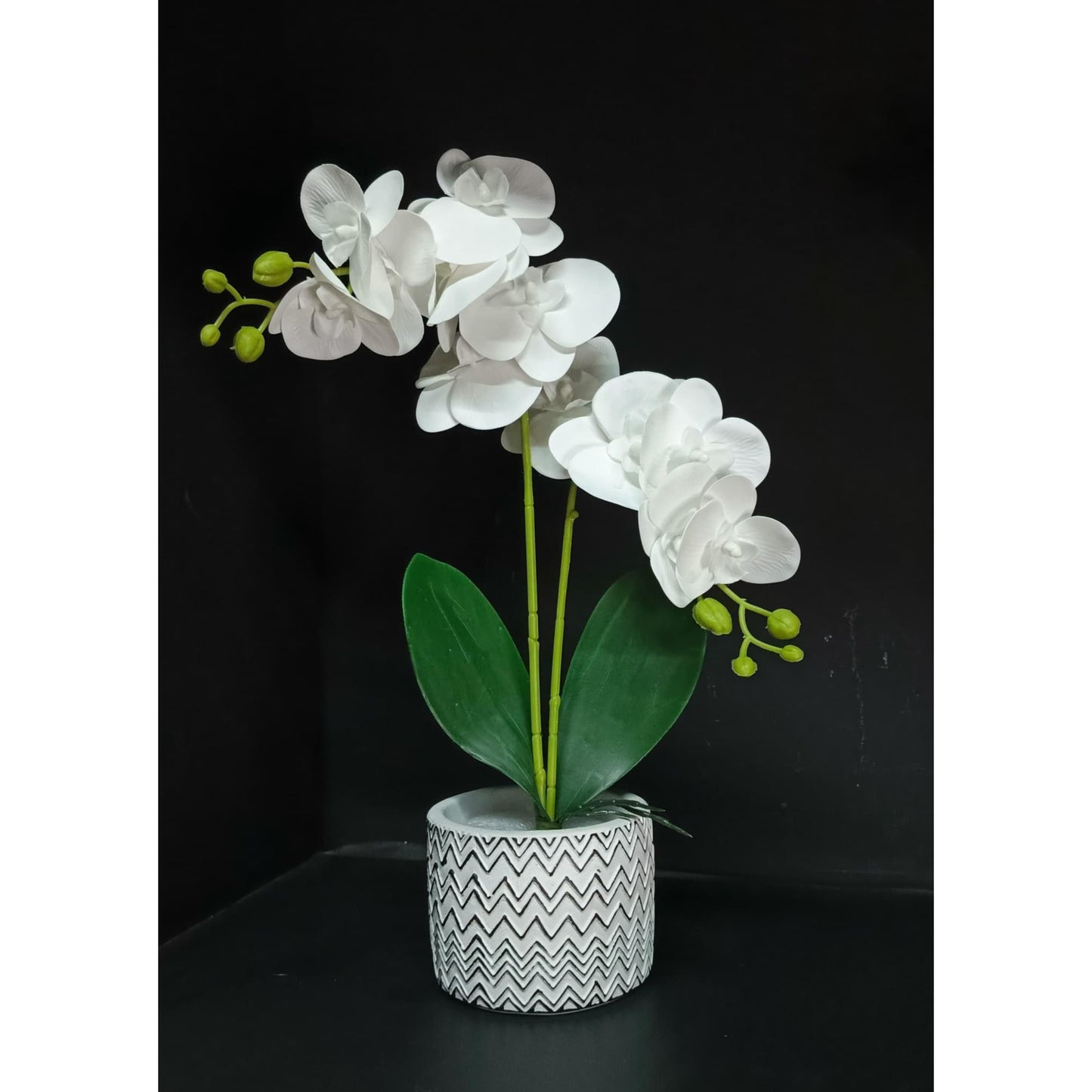 Orchid flowers with vase