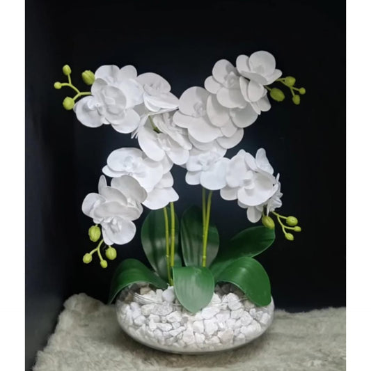 Orchid flowers with vase