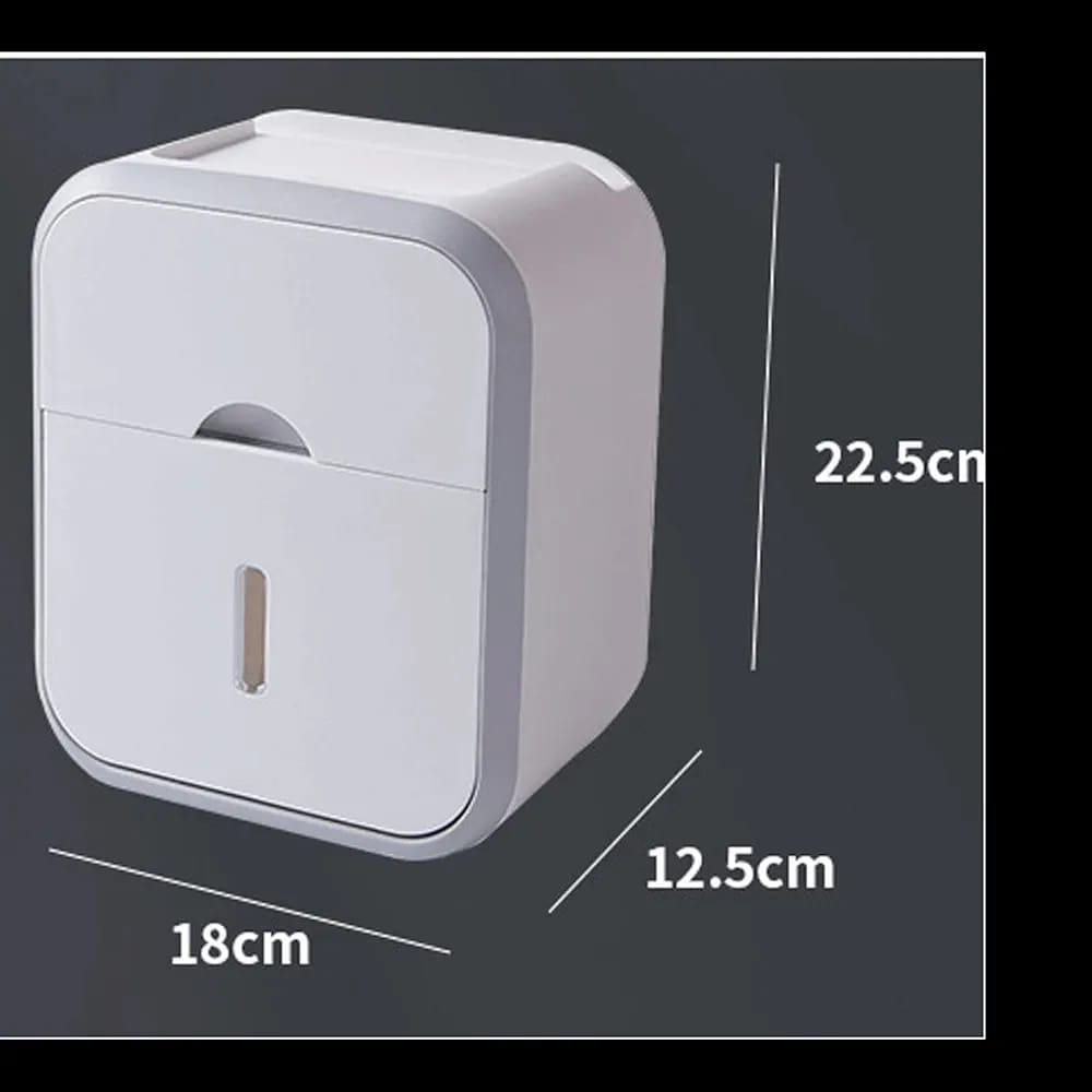 Wall mounted tissue holder