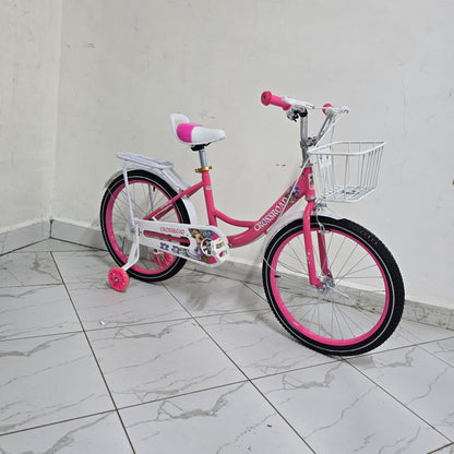 Size 20 bicycle bike