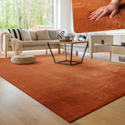 Ultra soft Fluffy Carpet
