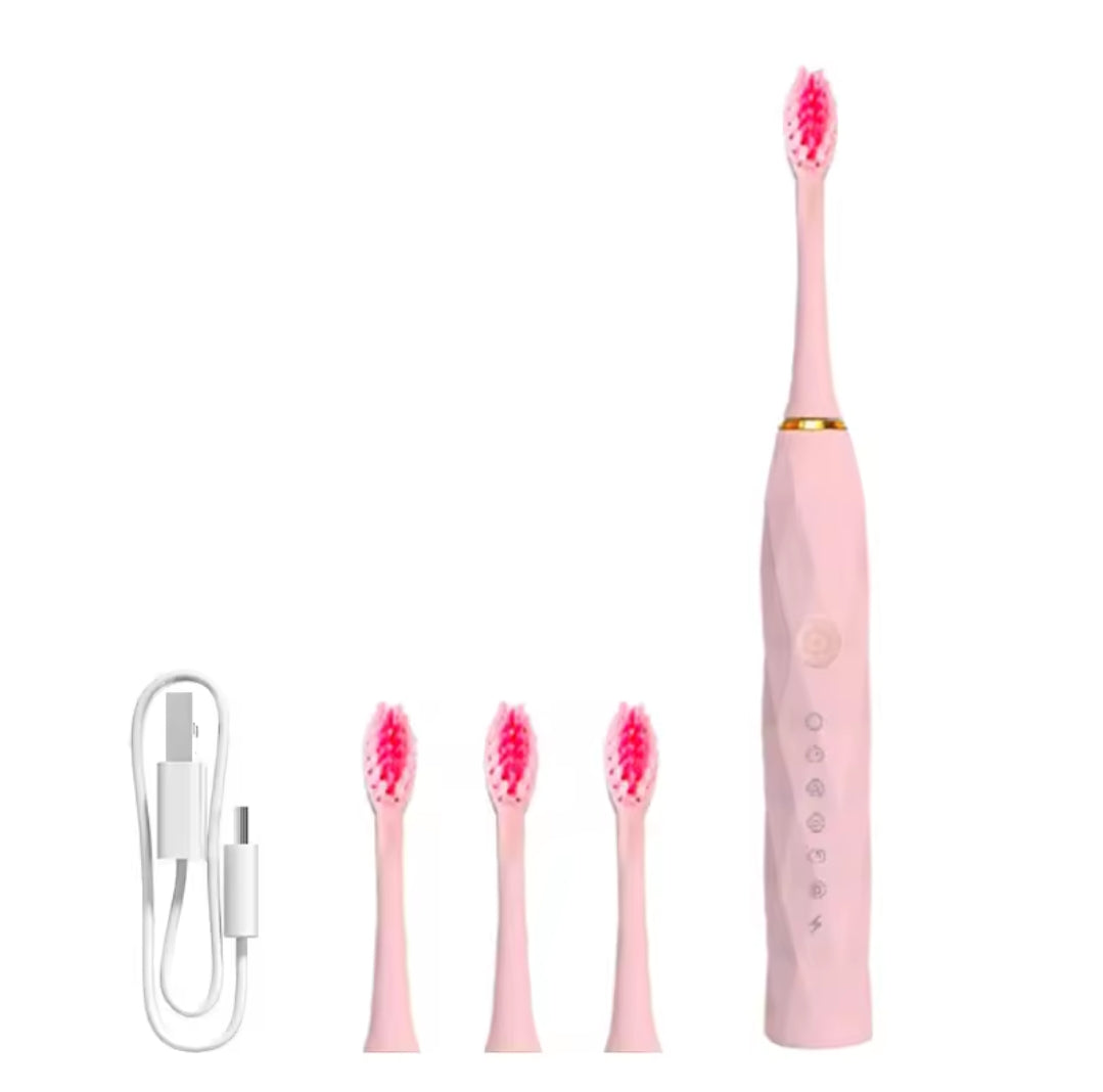 Electric rechargeable toothbrush with replacement heads