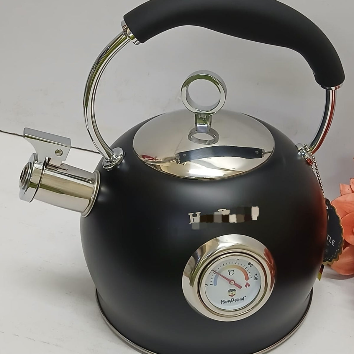 3L Whistling Stainless Steel Kettle With Thermometer