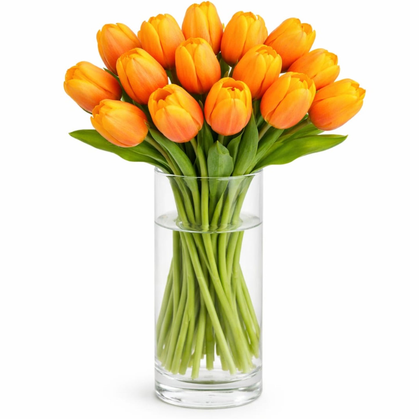10 Pcs Artificial Tulip Flowers
