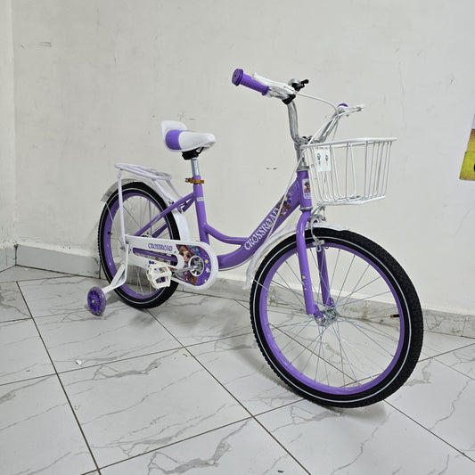 Size 20 bicycle bike