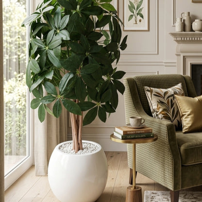 Artificial Avocado Leaf Plant with Fiberglass Vase