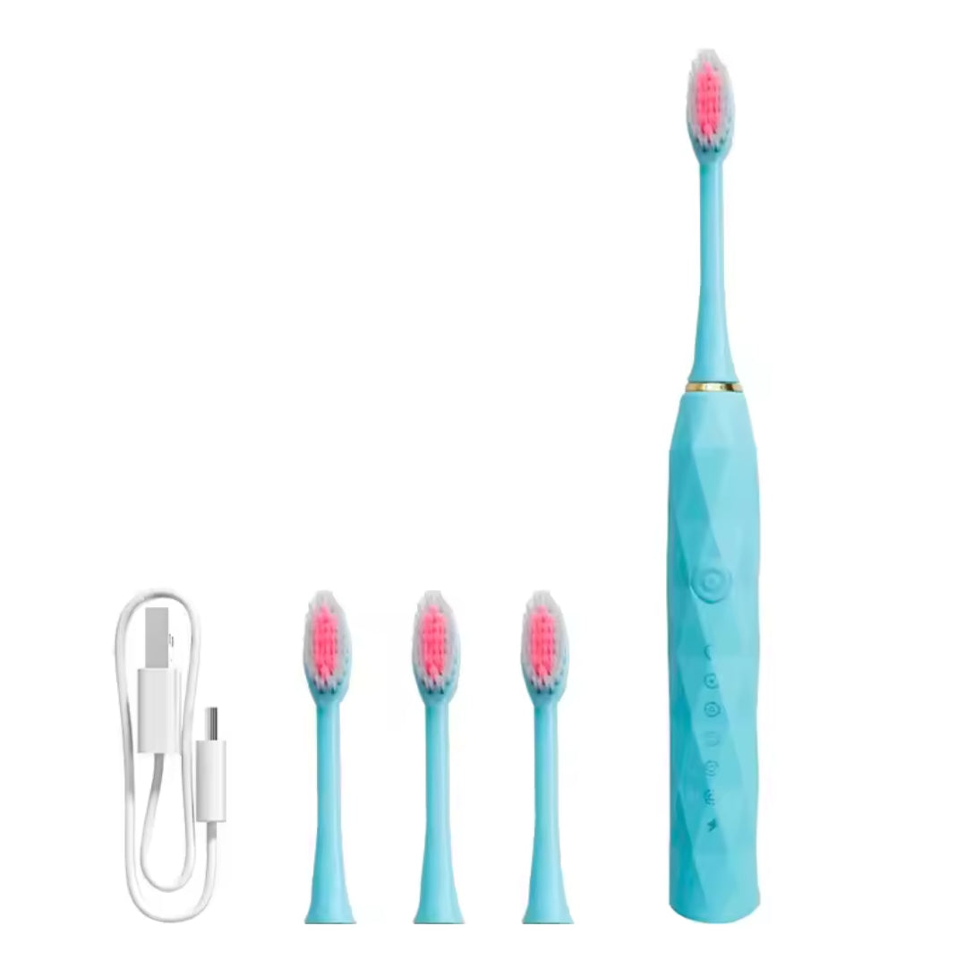 Electric rechargeable toothbrush with replacement heads