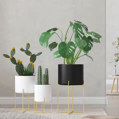 Beautiful planter