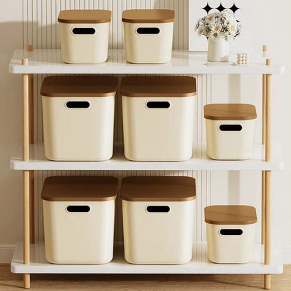 Rectangle PP Plastic Storage Boxes with Lids