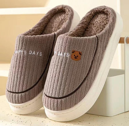 Indoor slippons indoor shoes