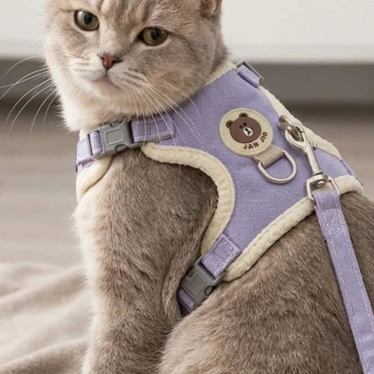 Soft Fleece Lined Adjustable Pet Harness and Leash Set