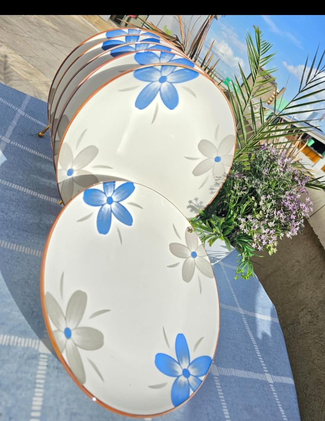 6Pcs ceramic dinner plates