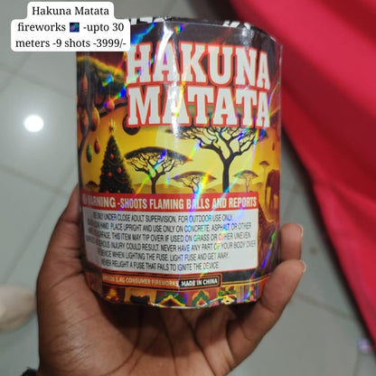 Assorted New Year Blooming Fire Works with License