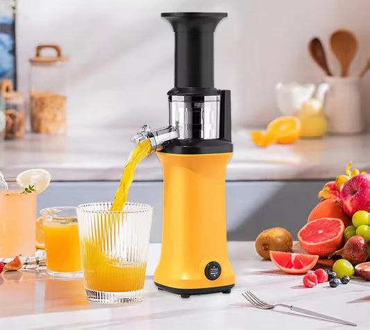 Mini slow juicer blender