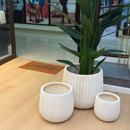 Concrete Planter