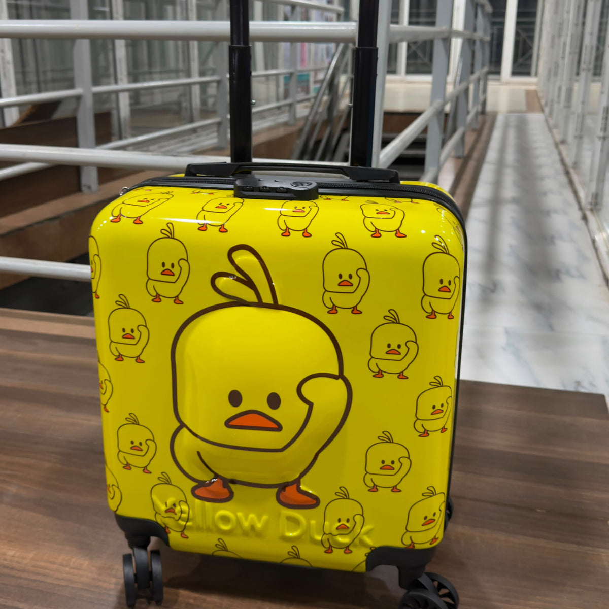 Kids Cartoon Themed Trolley Suitcase