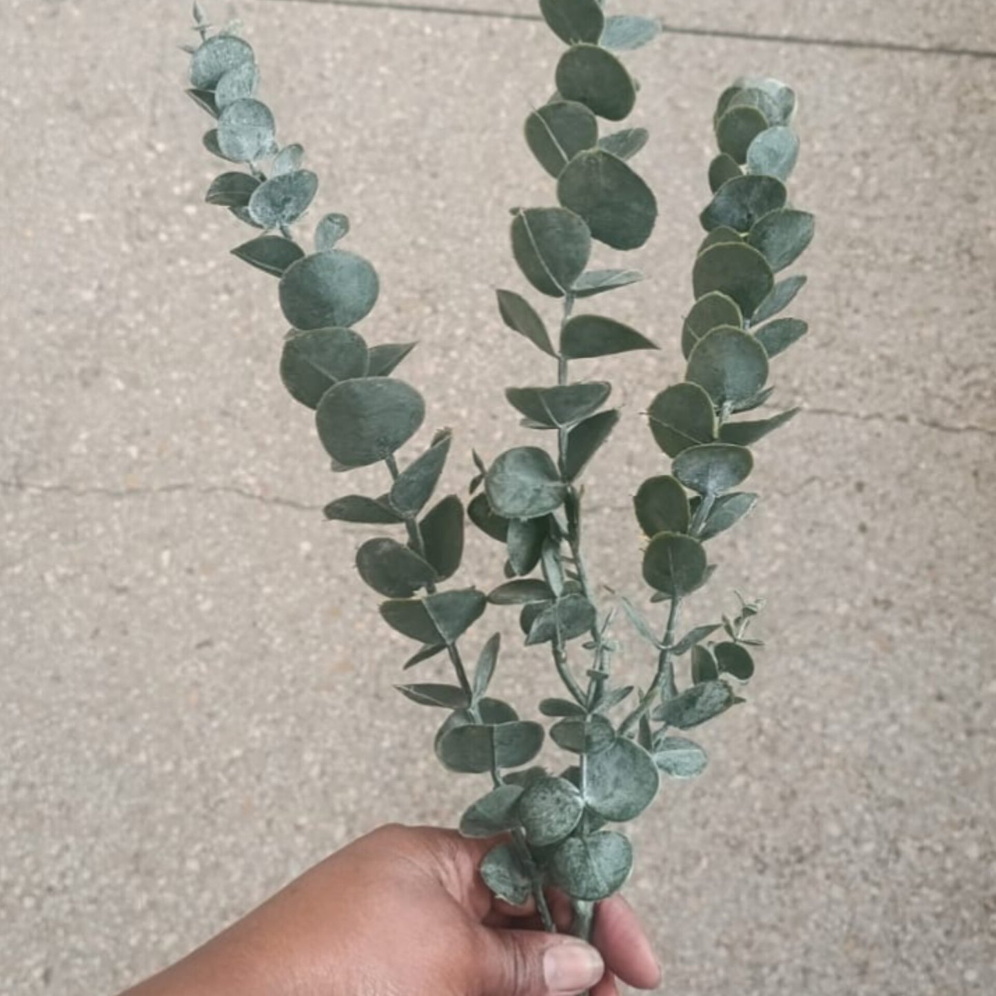 Artificial Eucalyptus Branch