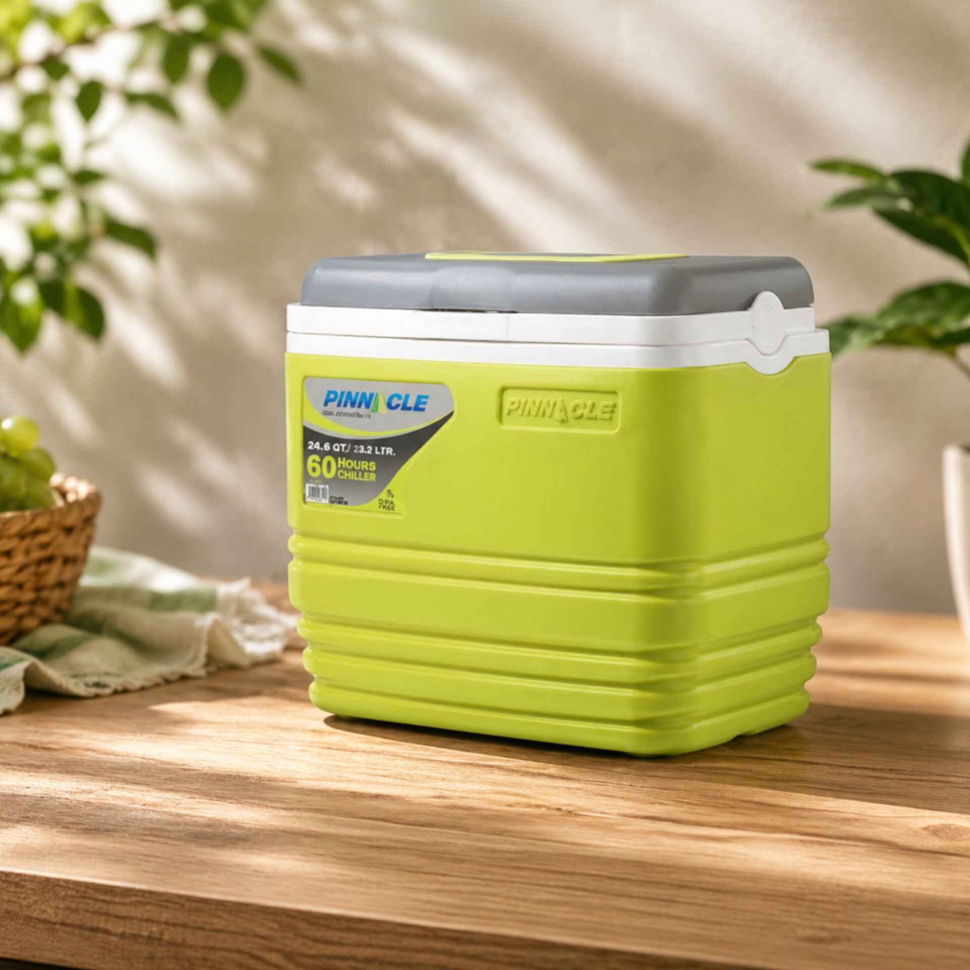 Pinnacle 25 Liter Insulated Portable Cooler Box