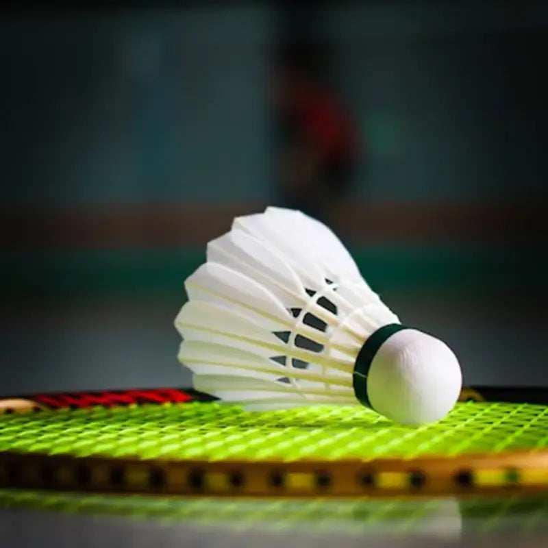 12 Piece Professional Badminton Shuttlecocks Set