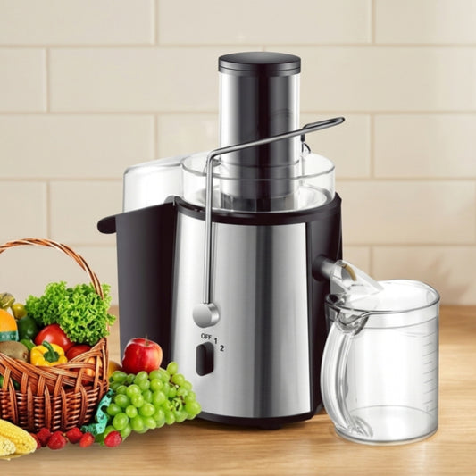 Stainless Steel Slow Juicer 