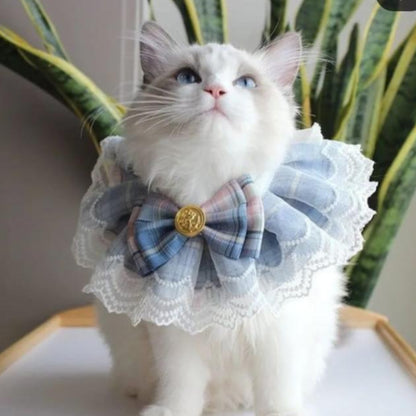 Pet Collar