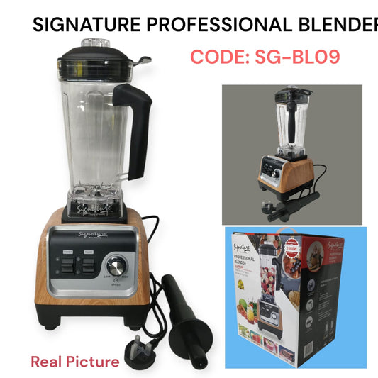 2L Professional blender