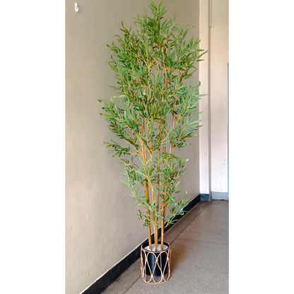 190cm Bamboo plant with metallic vase and pebbles
