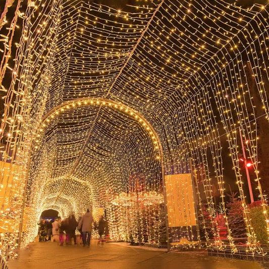 50M Christmas fairy lights 