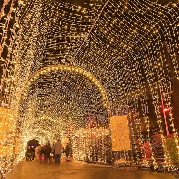50M Outdoor Commercial Christmas LED String Lights