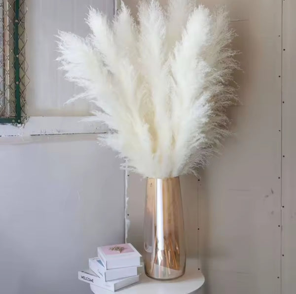 Natural Dried Pampas Grass Five Piece Set