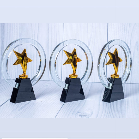 Star awards gift 