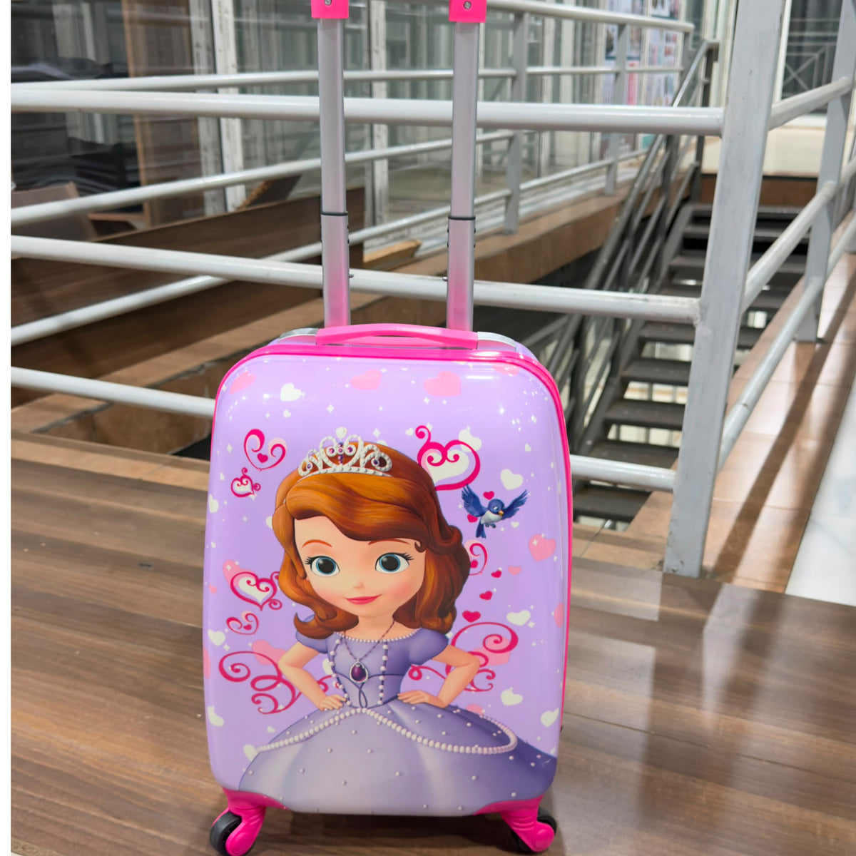 Kids Cartoon Themed Trolley Suitcase