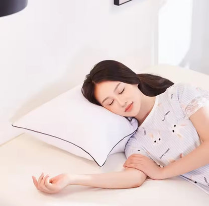 Pair of 1000grams pillows