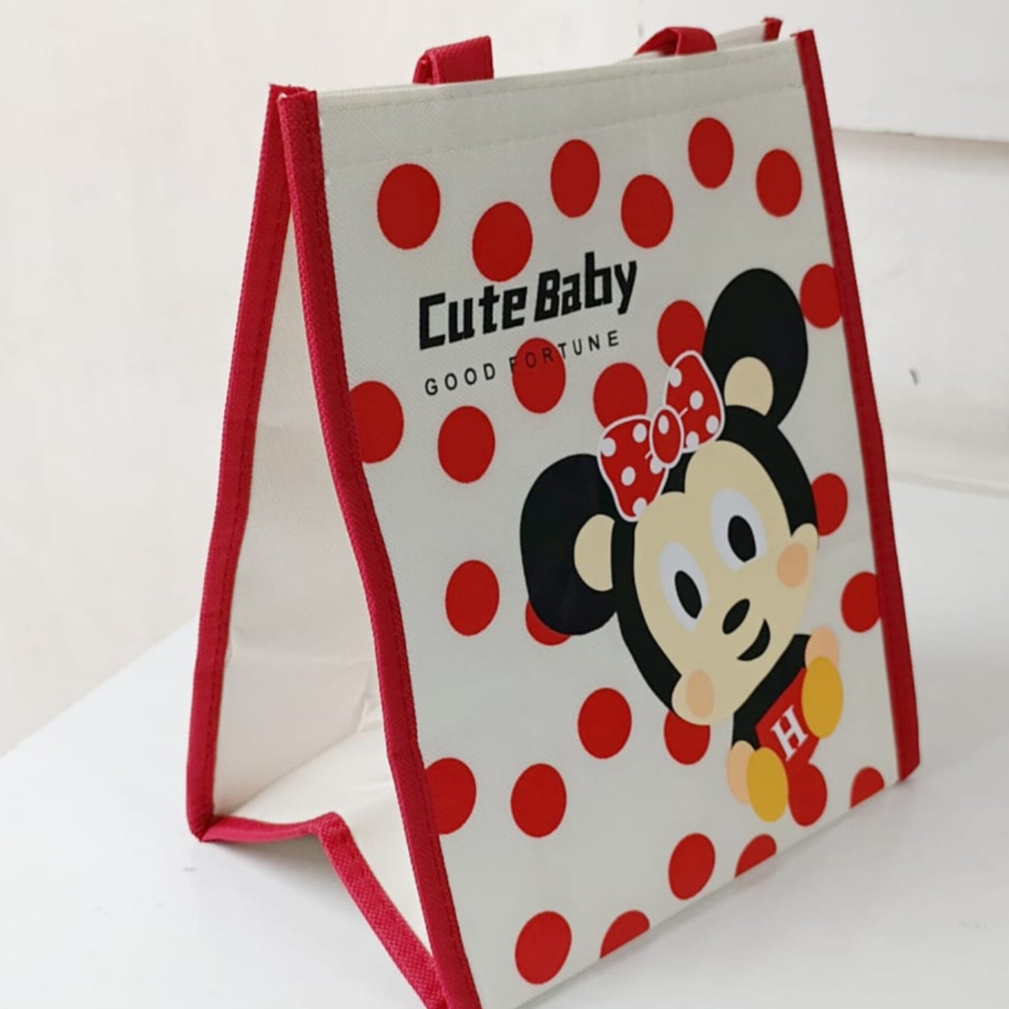 Insulated lunch bag