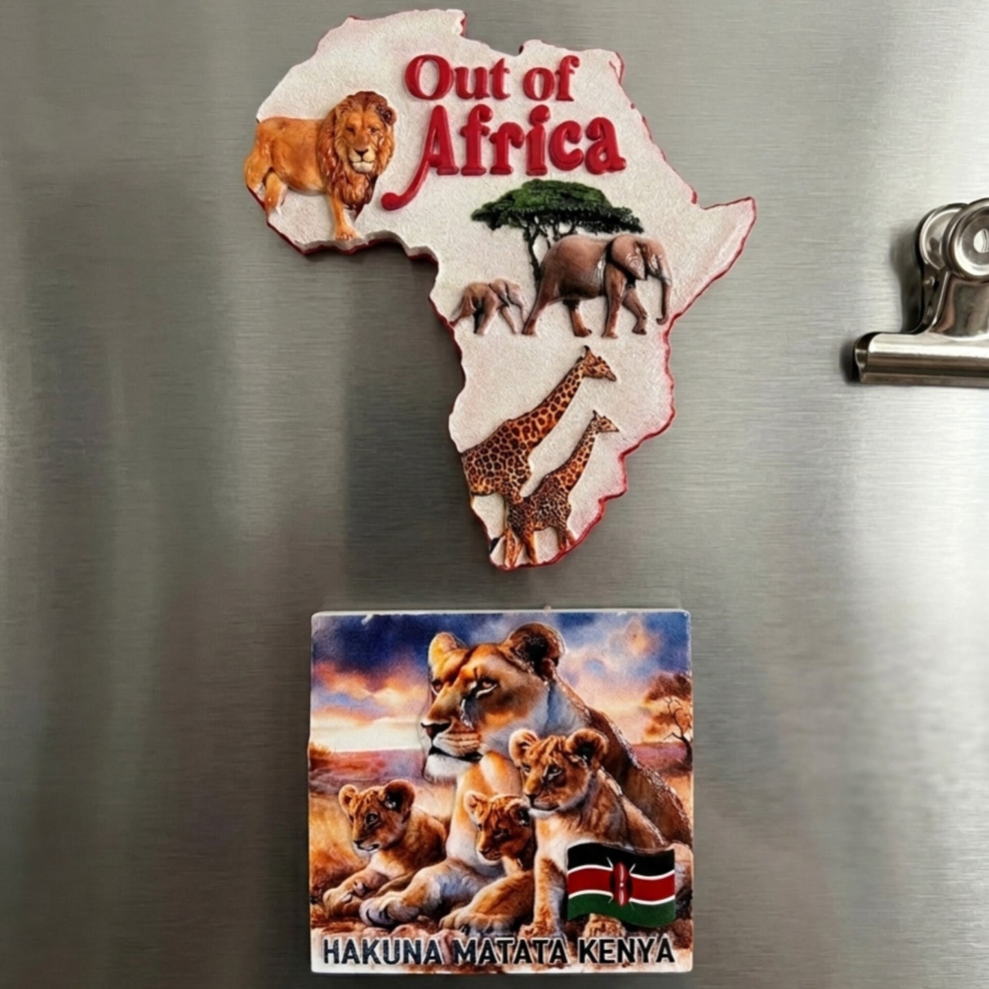 Out of Africa Map Souvenir Fridge Magnet