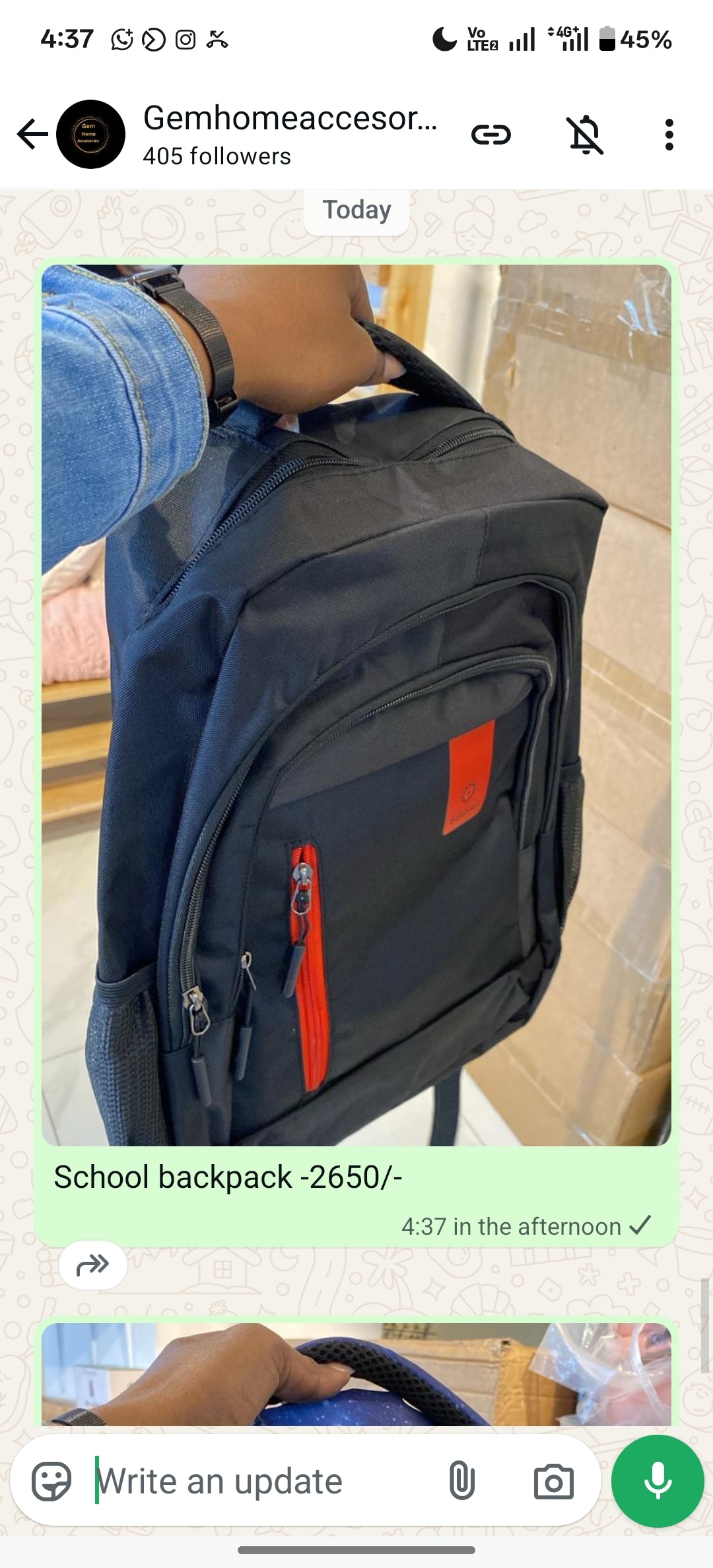 School bag backpack