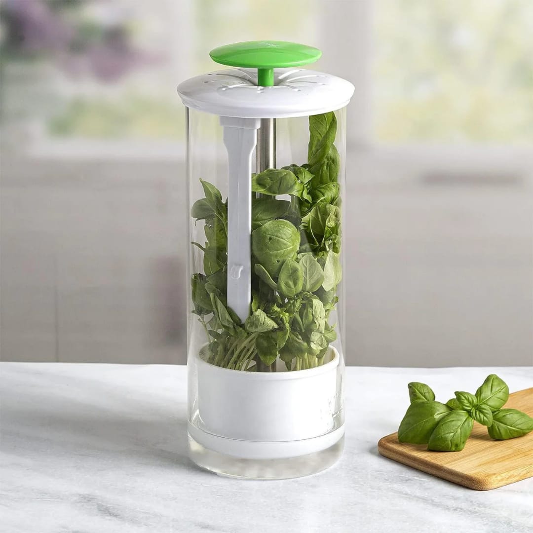Herbs preserver storage
