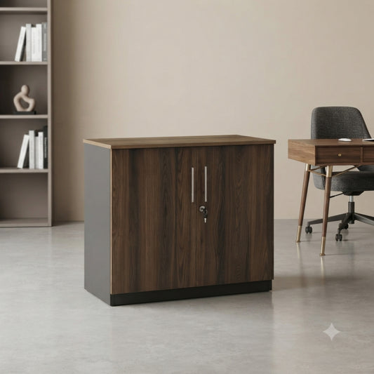 Two-Door Storage Cabinet