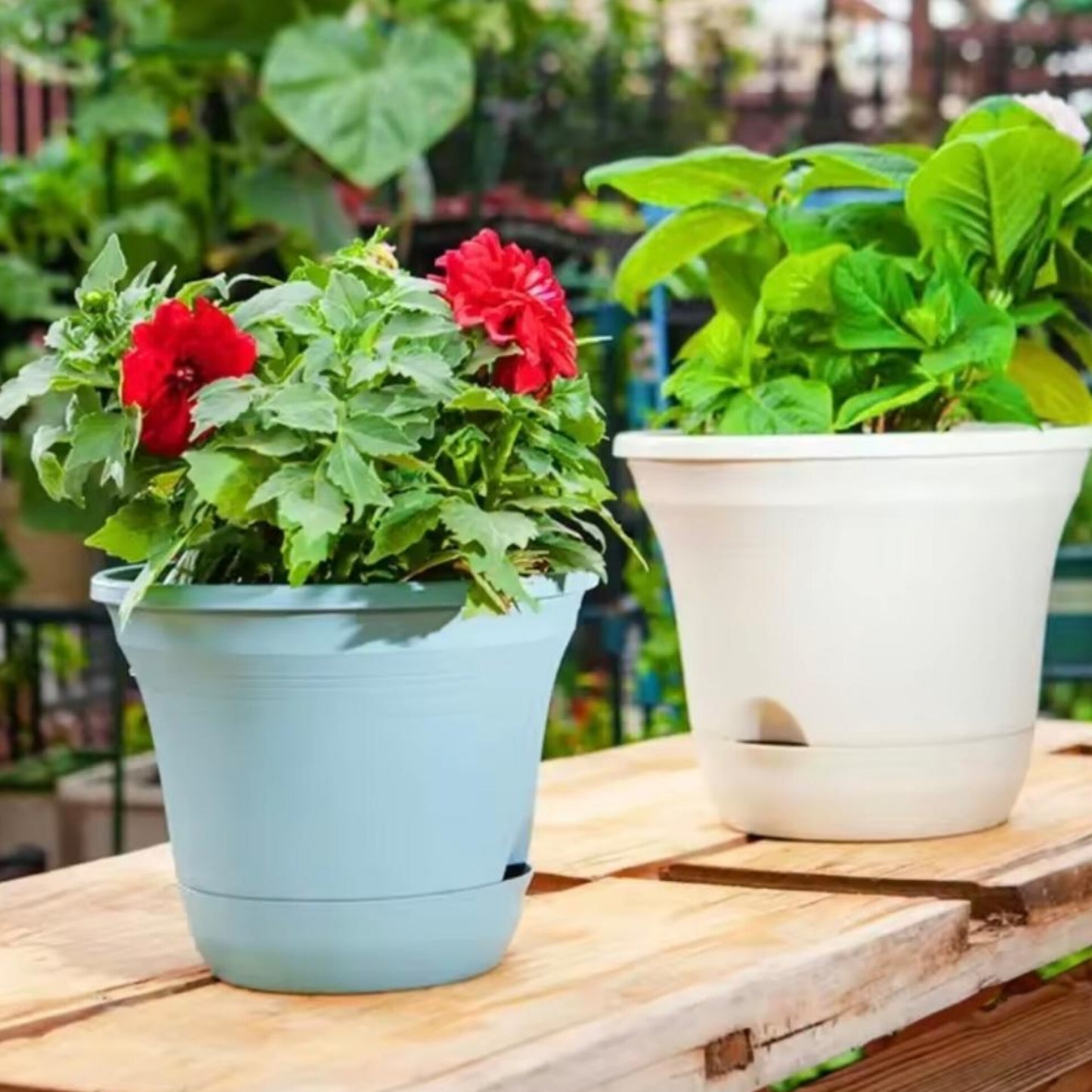 Plastic Flower Pot Planter