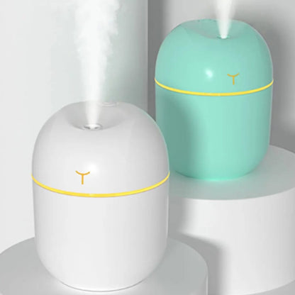 Egg humidifier