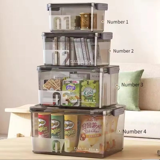 Transparent storage organizer