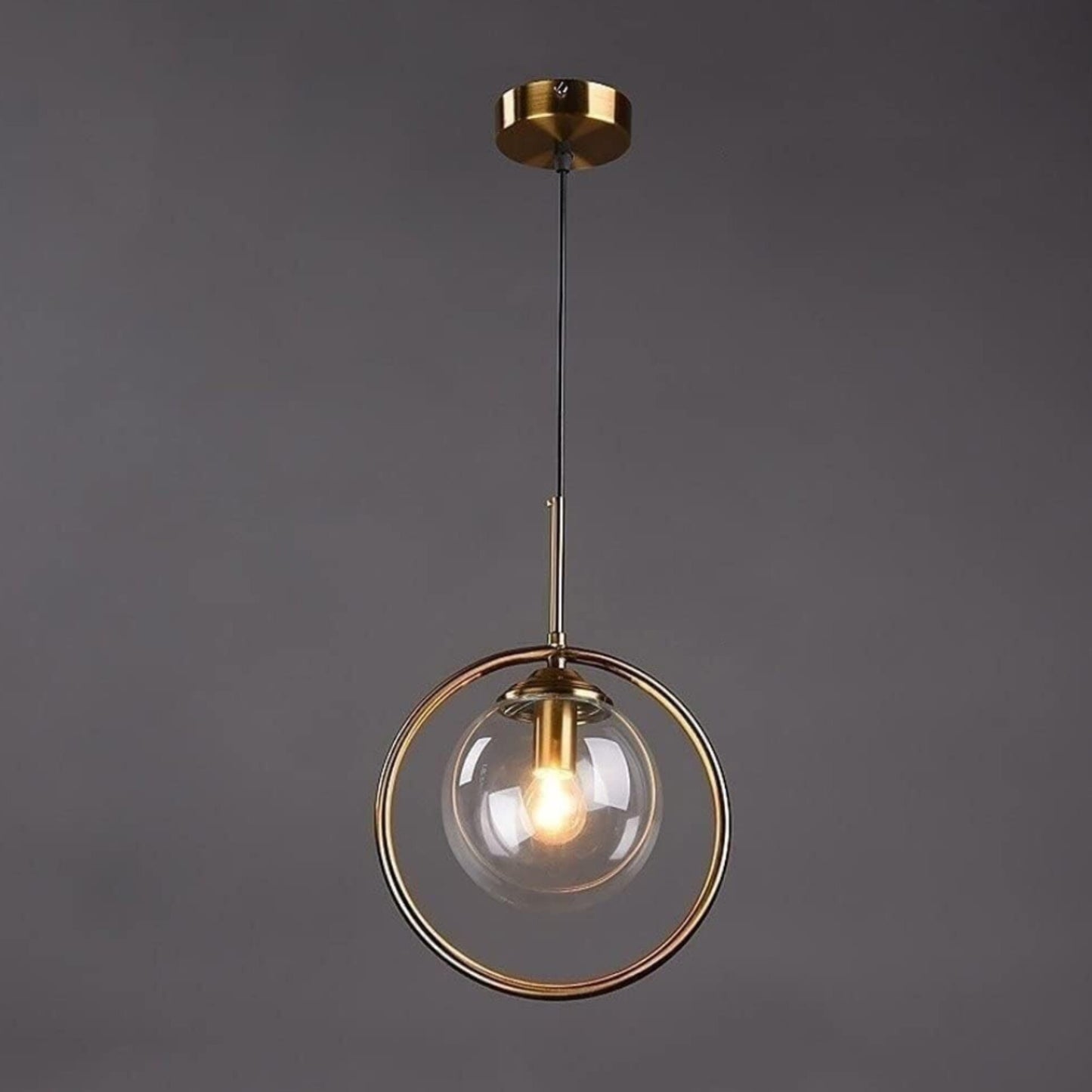 Circular Ring Glass Globe Pendant Light
