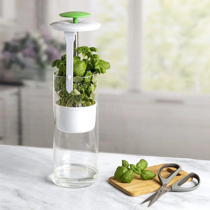 Herbs preserver storage